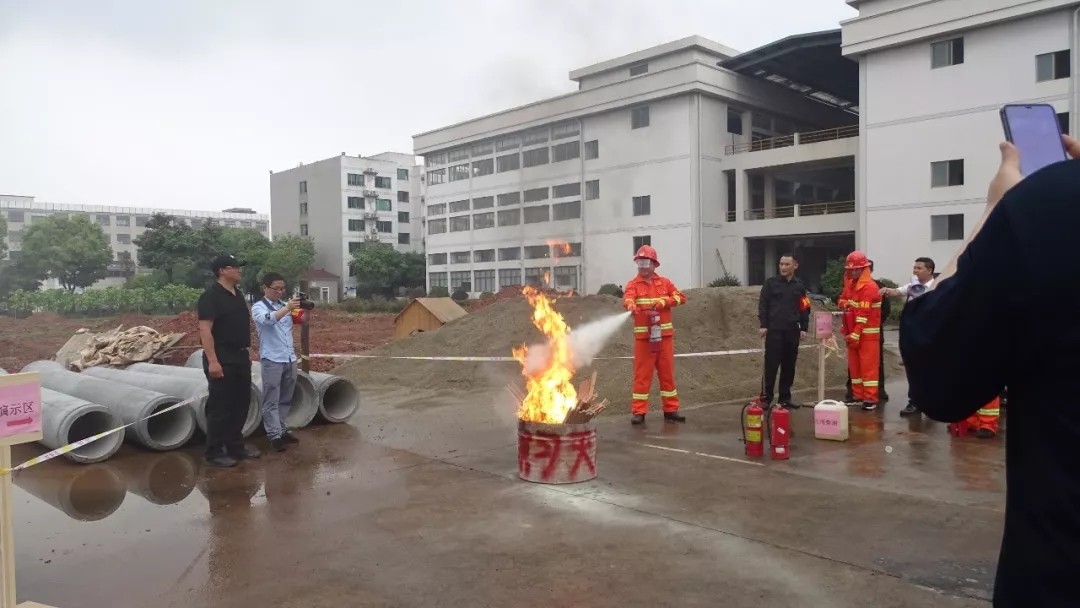 澳门霸王四肖